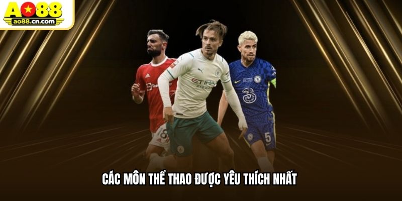 Các môn thể thao được yêu thích nhất