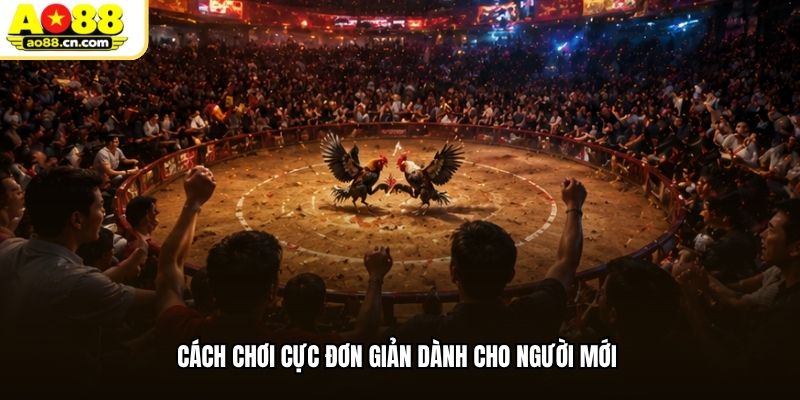 Cách chơi cực đơn giản dành cho người mới