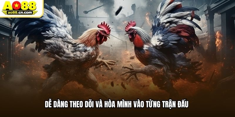 Dễ dàng theo dõi và hòa mình vào từng trận đấu
