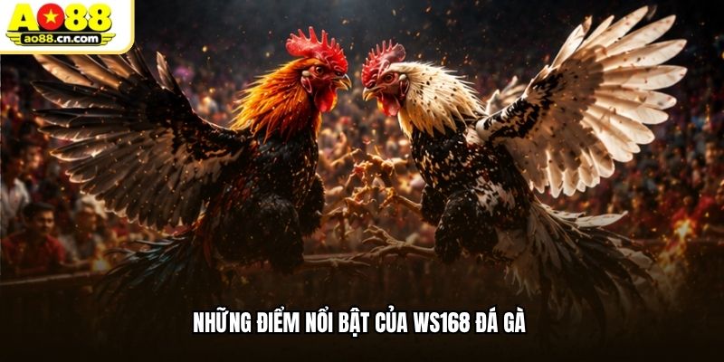 Những điểm nổi bật của WS168 đá gà