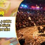 Ws168 Đá Gà | Cược Sống Động Cùng AO88 - Hoàn Tiền 1.5%